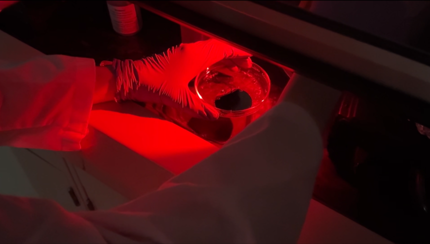 Developing the photoresist